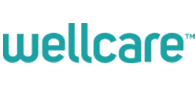 wellcare insurance